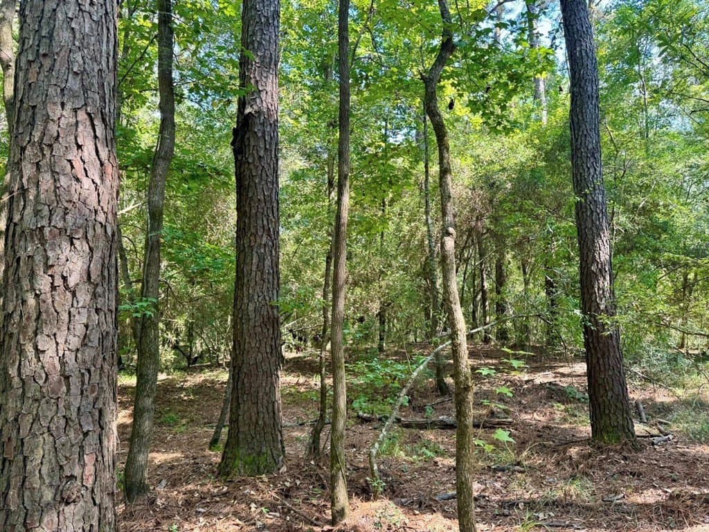27.47 acres in Texas County - photo 14