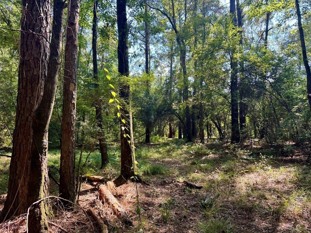 27.47 acres in Texas County - photo 13