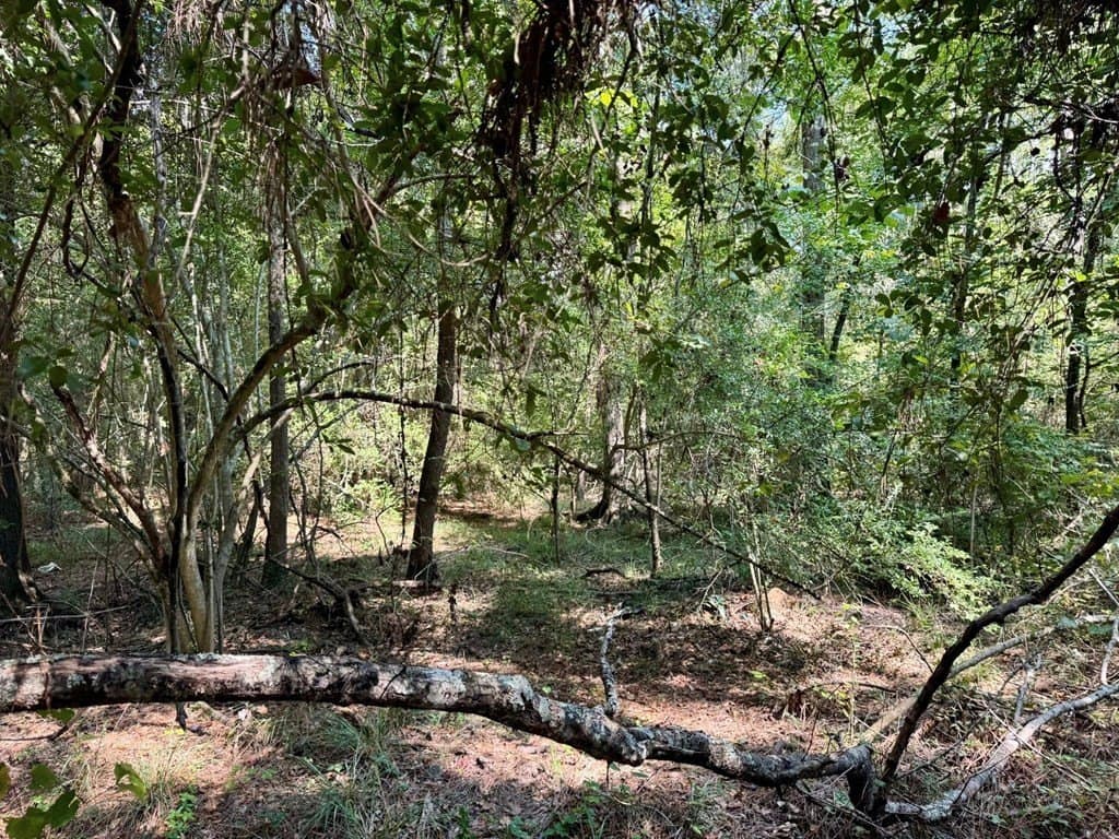 27.47 acres in Texas County - photo 17