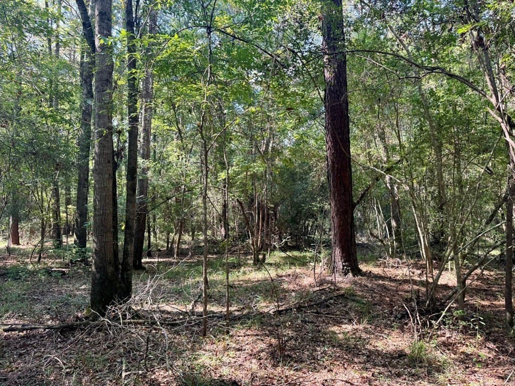27.47 acres in Texas County - photo 7