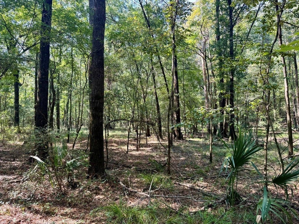 27.47 acres in Texas County - photo 12