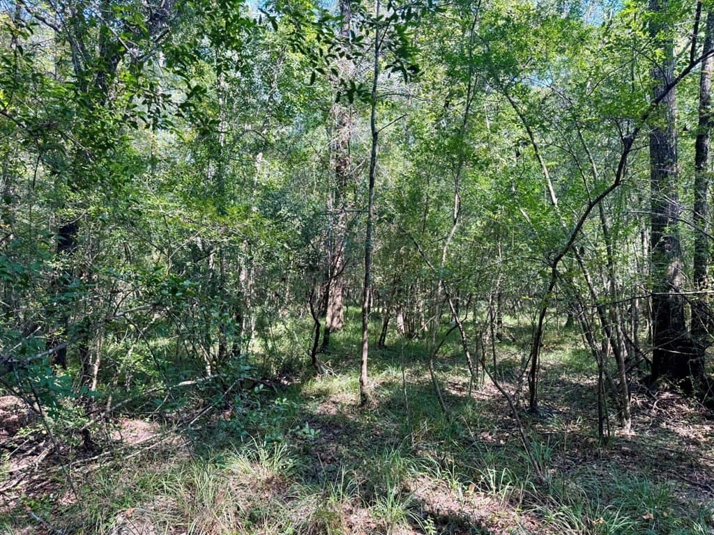 27.47 acres in Texas County - photo 11