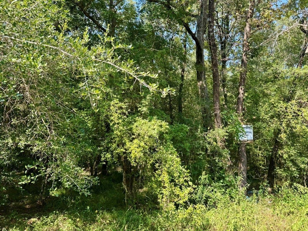 27.47 acres in Texas County - photo 2