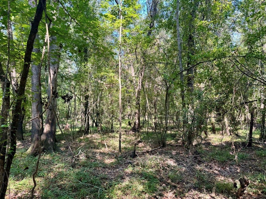 27.47 acres in Texas County - photo 9