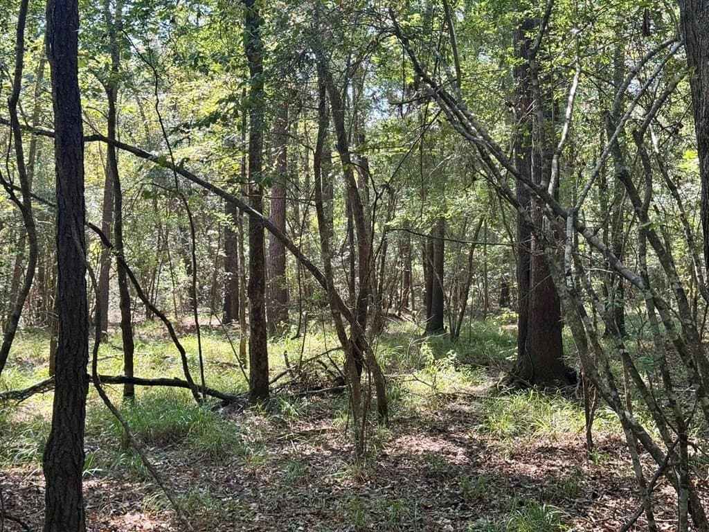 27.47 acres in Texas County - photo 5