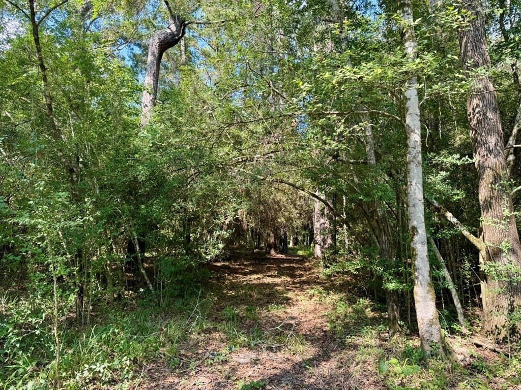 27.47 acres in Texas County - photo 18