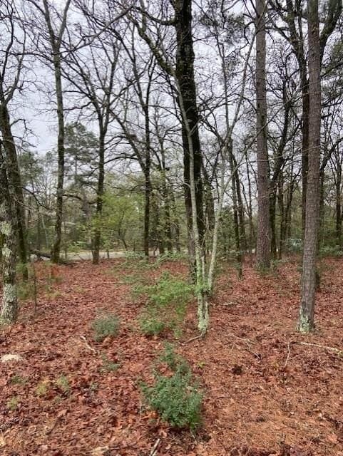 4.17 acres in Wood County - photo 3
