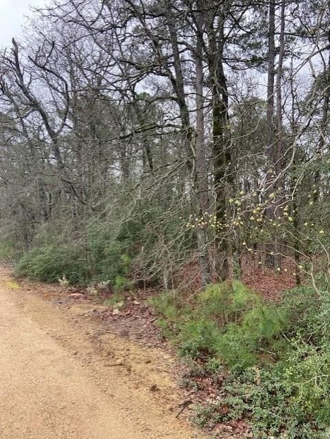 4.17 acres in Wood County - photo 4