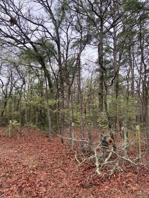 4.17 acres in Wood County - photo 5
