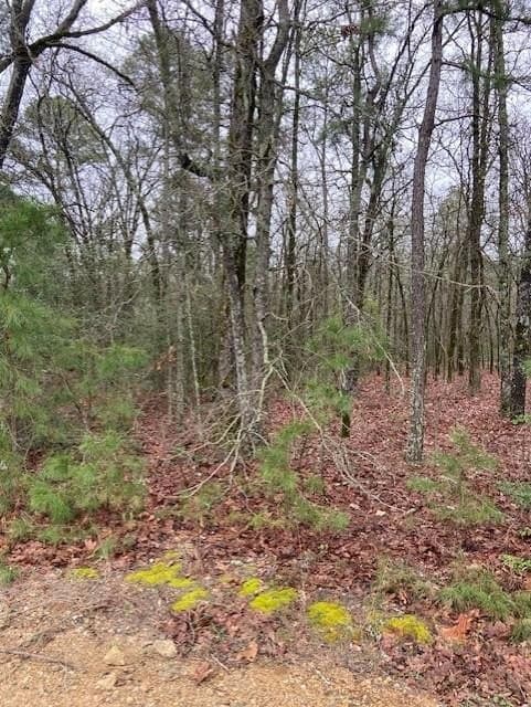 4.17 acres in Wood County - photo 2
