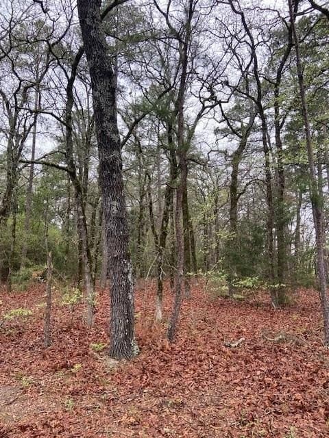 4.17 acres in Wood County - photo 8