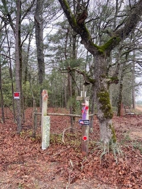 4.17 acres in Wood County - photo 6