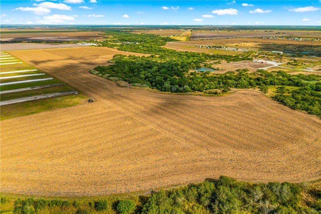 141.05 acres in Nueces County - photo 9