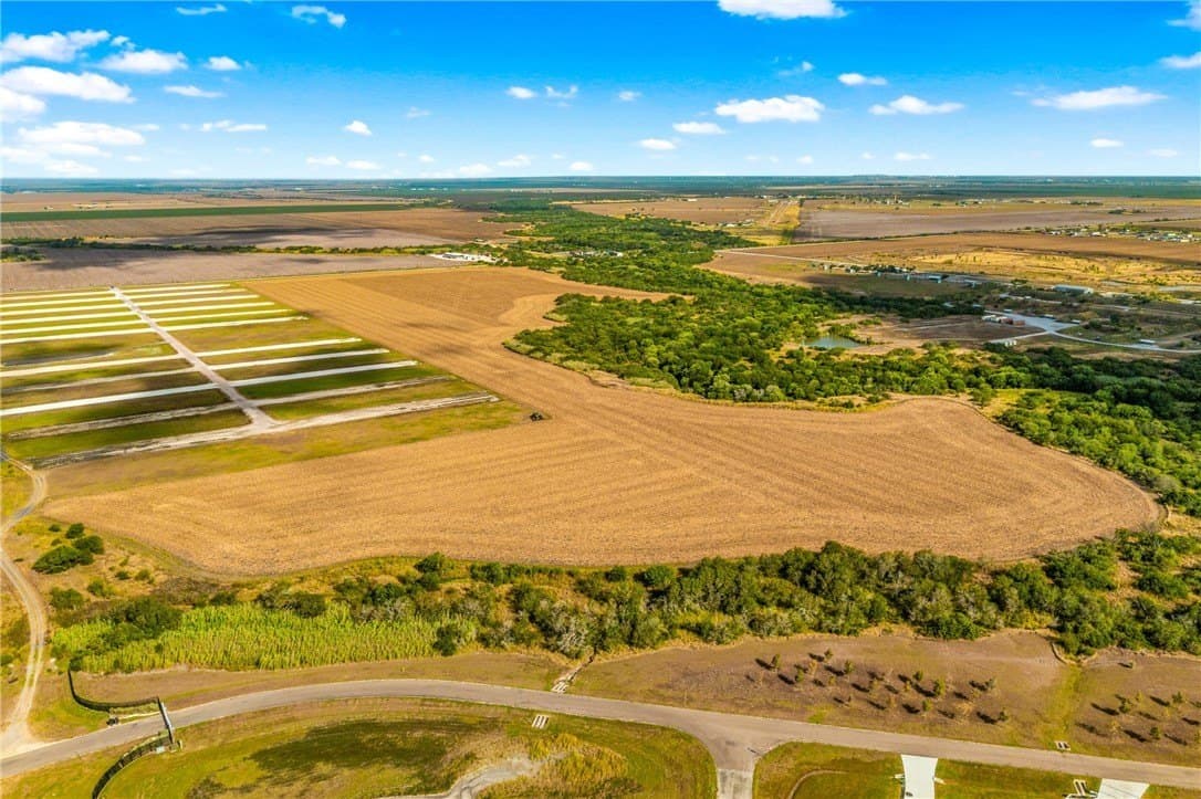 141.05 acres in Nueces County - photo 8