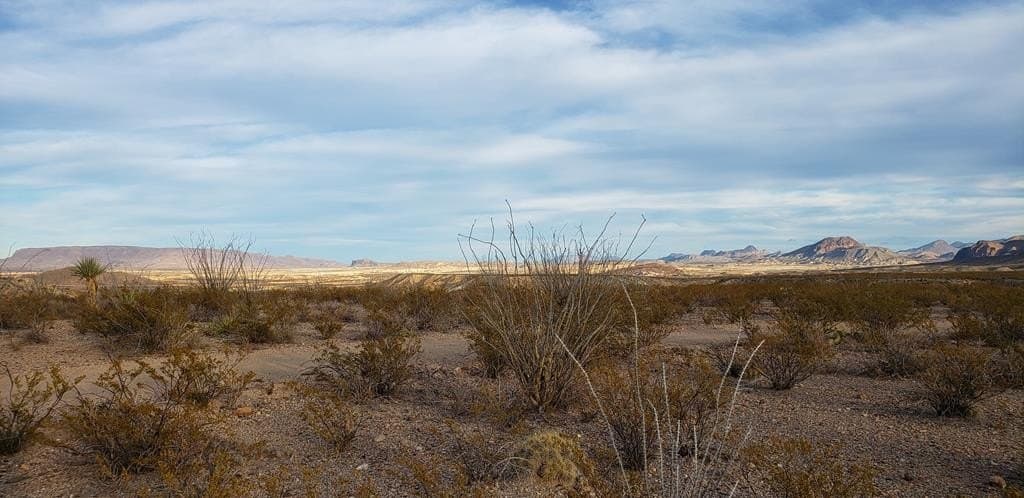 40 acres in Brewster County - photo 26