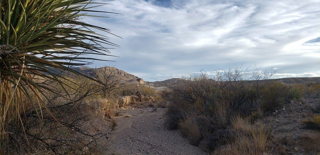 40 acres in Brewster County - photo 8