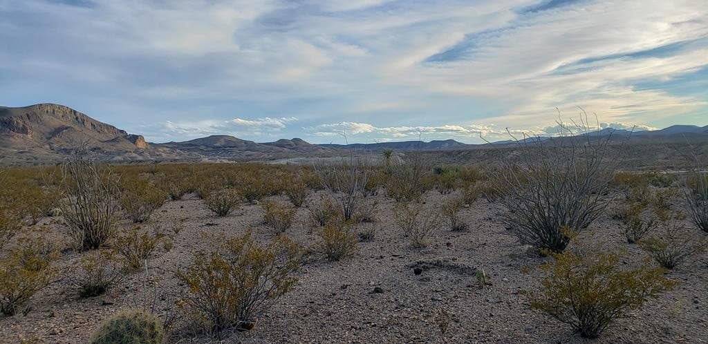 40 acres in Brewster County - photo 25