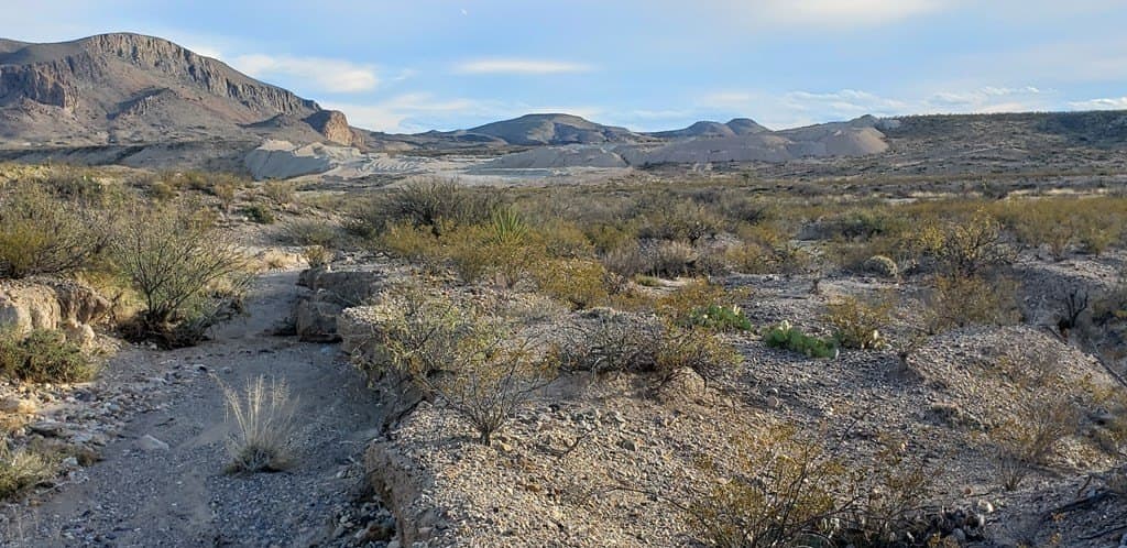 40 acres in Brewster County - photo 20
