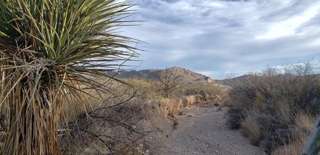 40 acres in Brewster County - photo 15