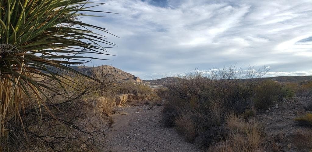 40 acres in Brewster County - photo 31