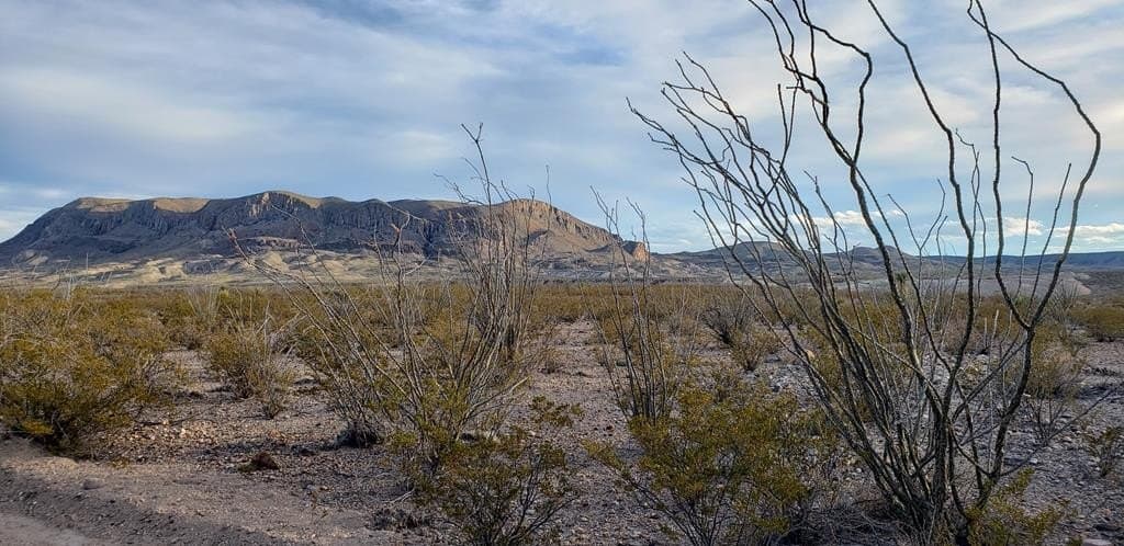 40 acres in Brewster County - photo 29