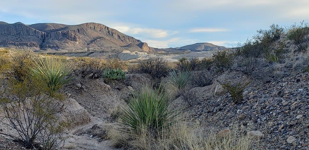 40 acres in Brewster County - photo 22