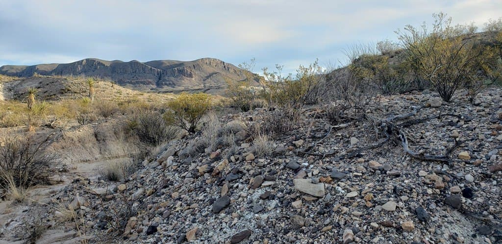 40 acres in Brewster County - photo 9
