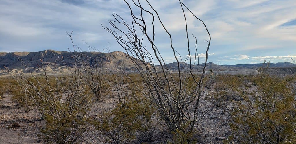 40 acres in Brewster County - photo 17