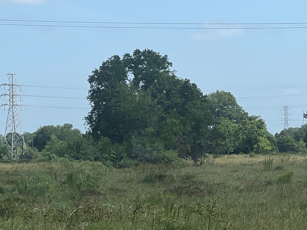 24 acres in Texas County - photo 3