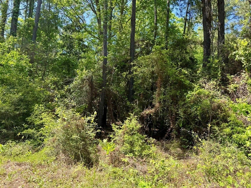 10.62 acres in Texas County - photo 10