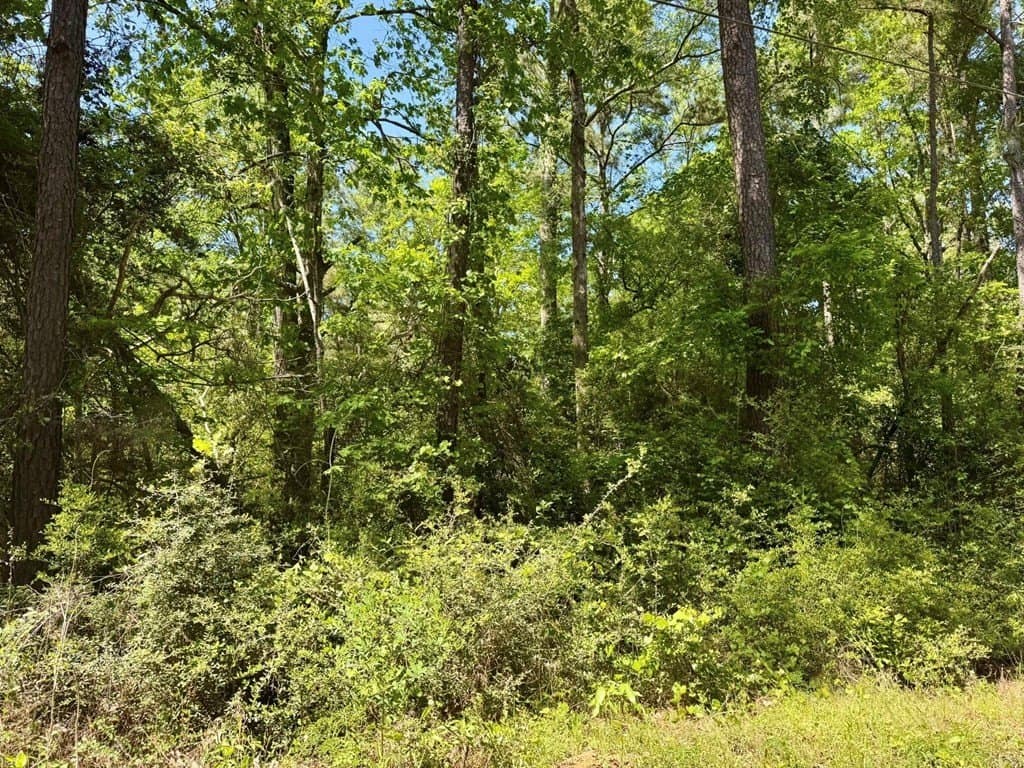 10.62 acres in Texas County - photo 7