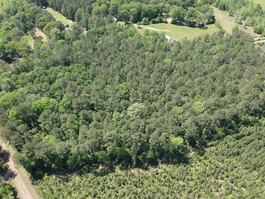 10.62 acres in Texas County - photo 16