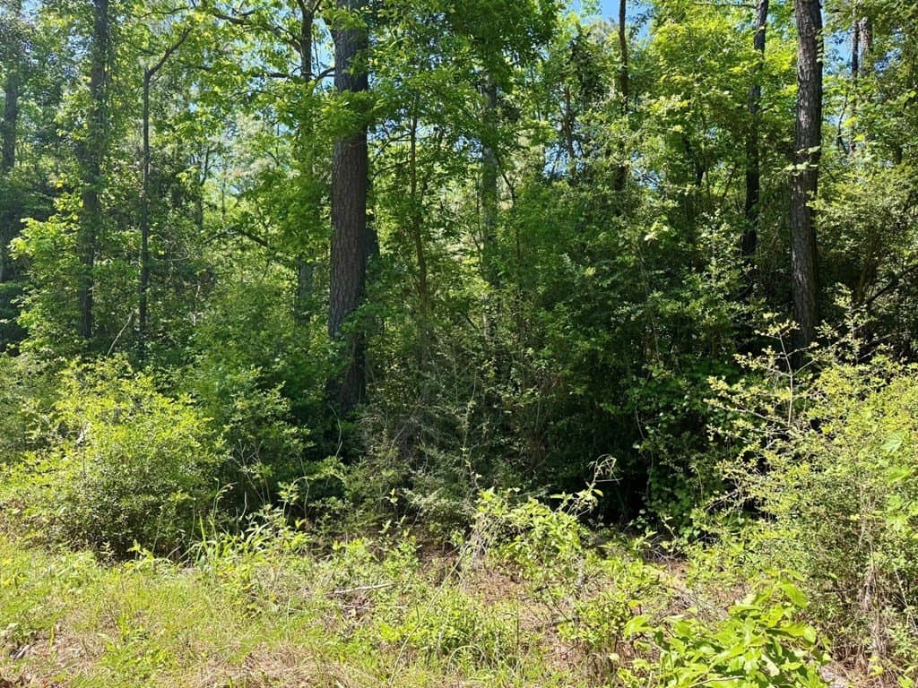 10.62 acres in Texas County - photo 12