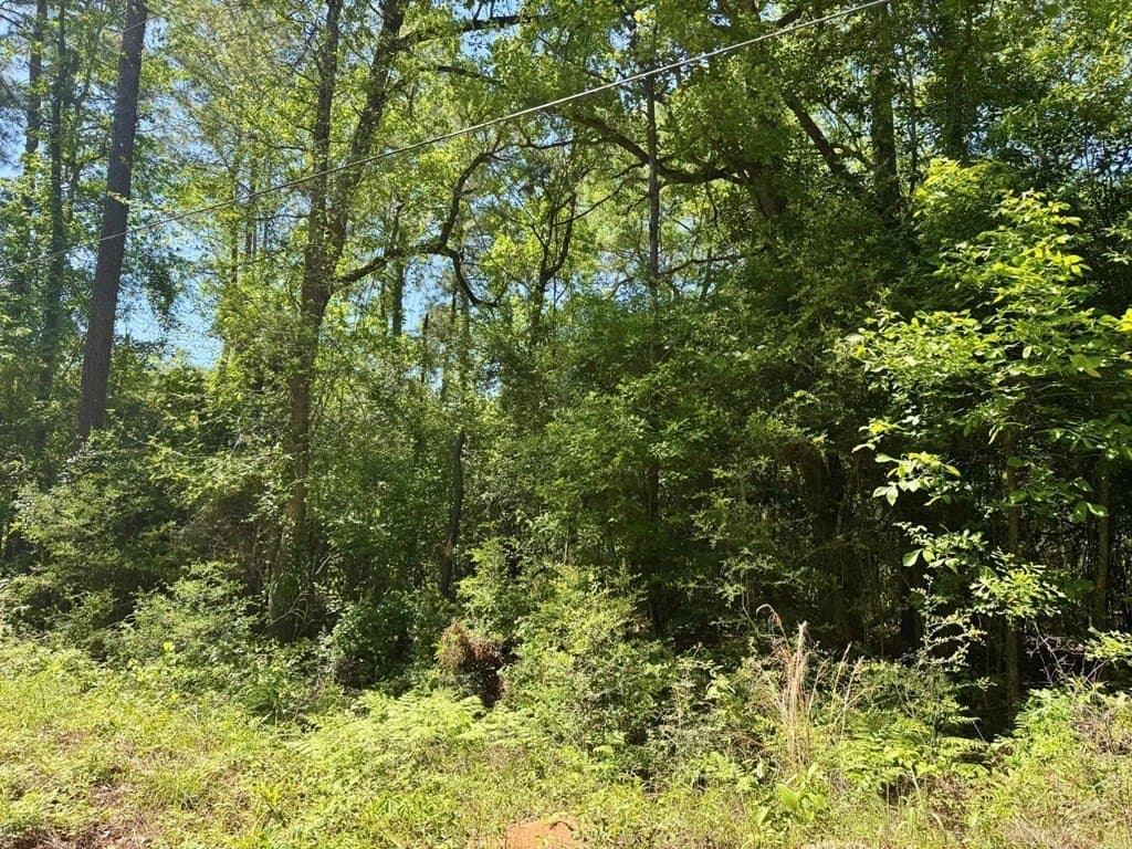 10.62 acres in Texas County - photo 6