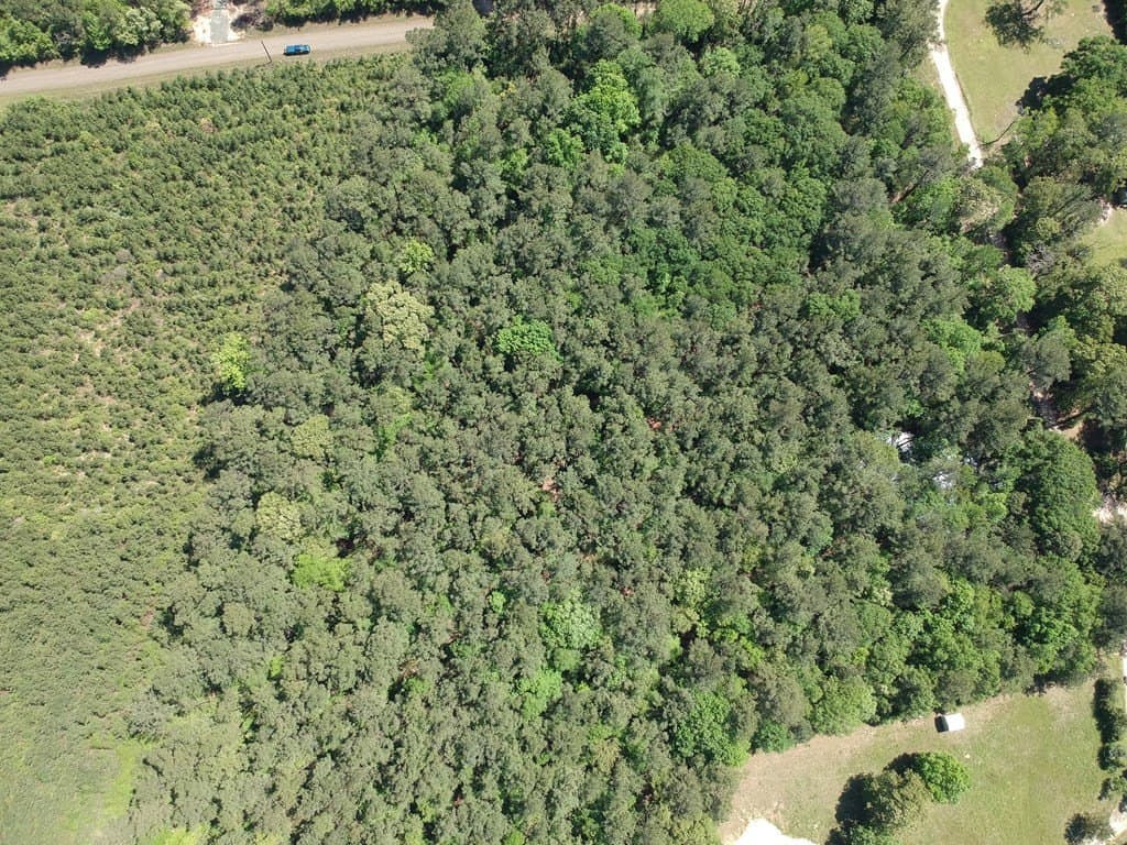 10.62 acres in Texas County - photo 20