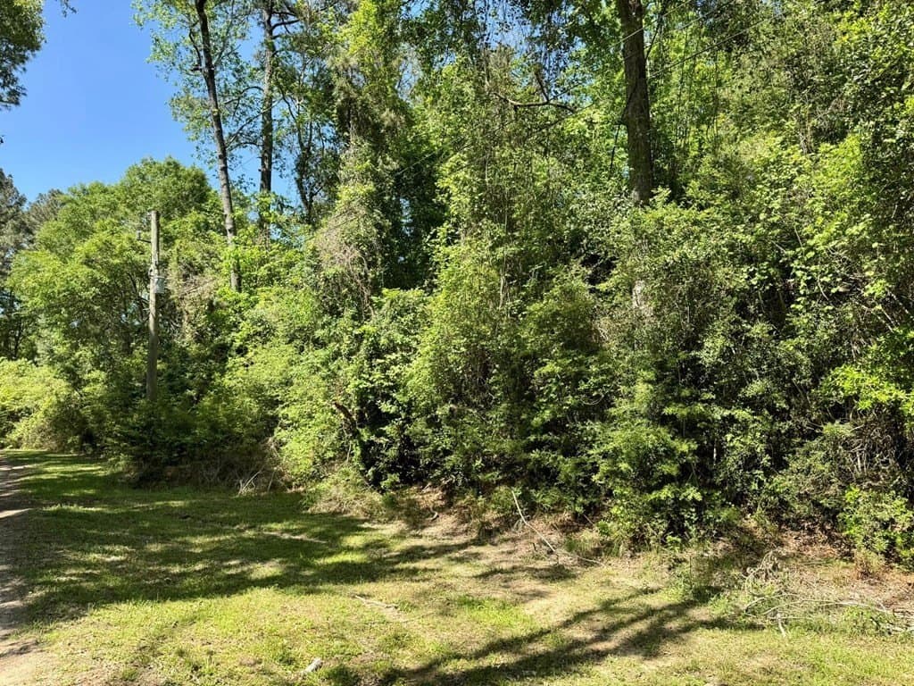 10.62 acres in Texas County - photo 2
