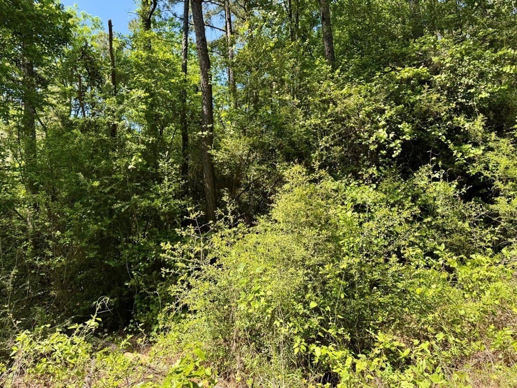 10.62 acres in Texas County - photo 13