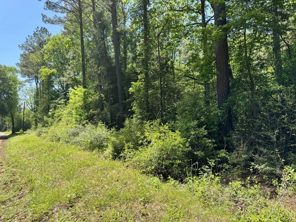 10.62 acres in Texas County - photo 15