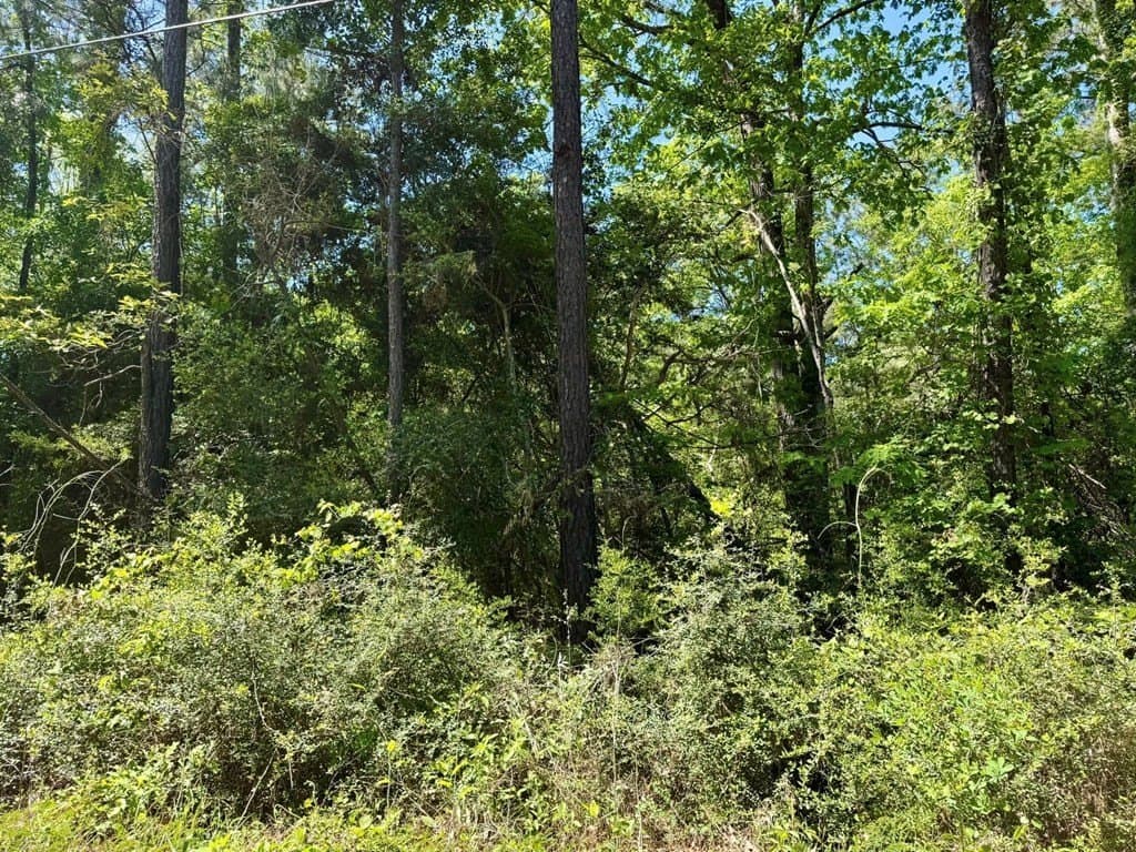 10.62 acres in Texas County - photo 8