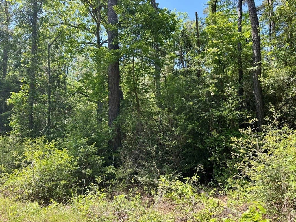 10.62 acres in Texas County - photo 14