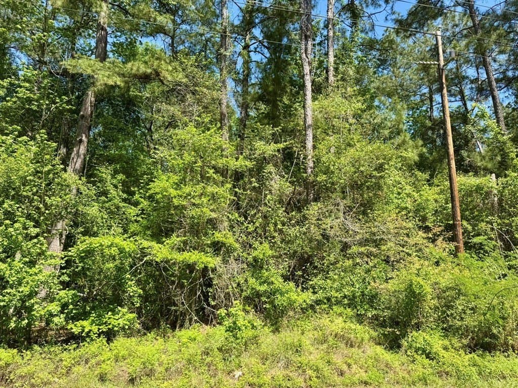 10.62 acres in Texas County - photo 4