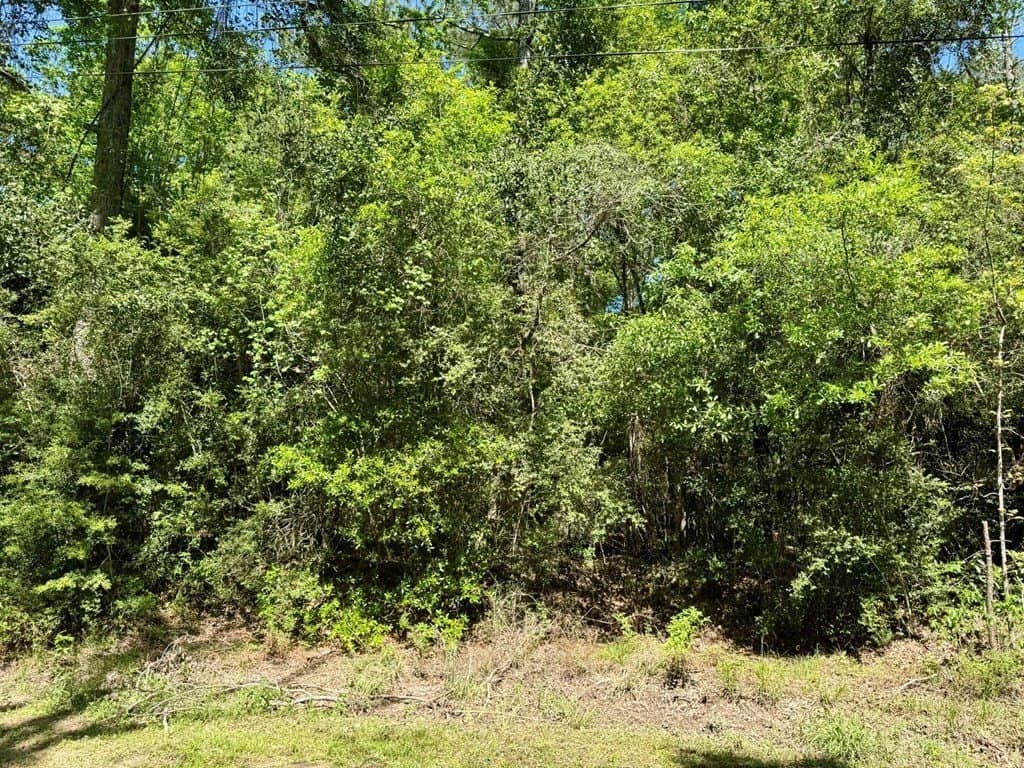 10.62 acres in Texas County - photo 3