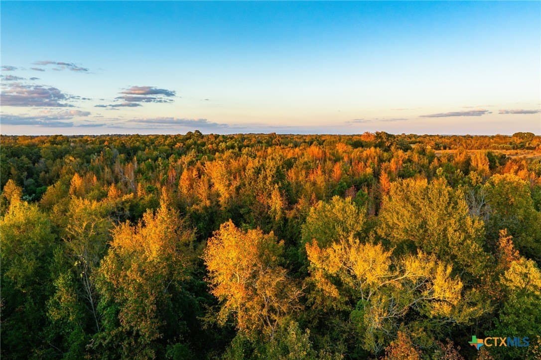 265 acres in Henderson County - photo 7