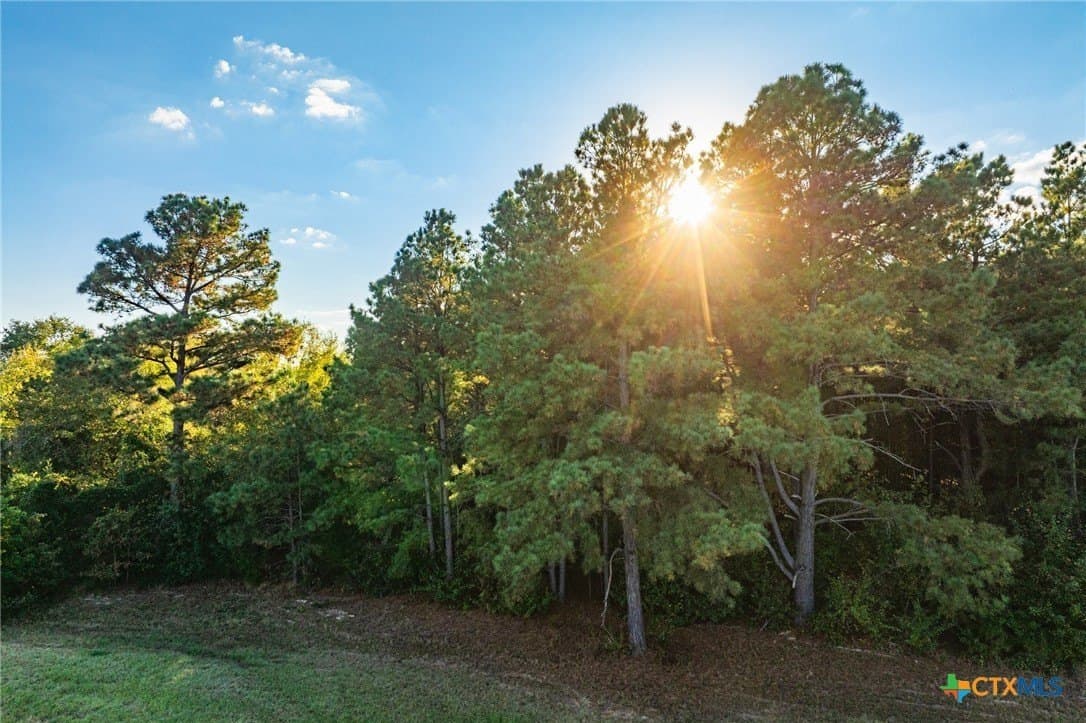 265 acres in Henderson County - photo 23