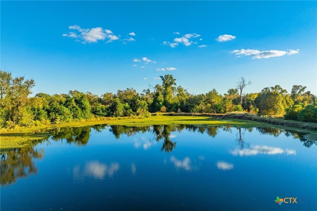 265 acres in Henderson County - photo 22