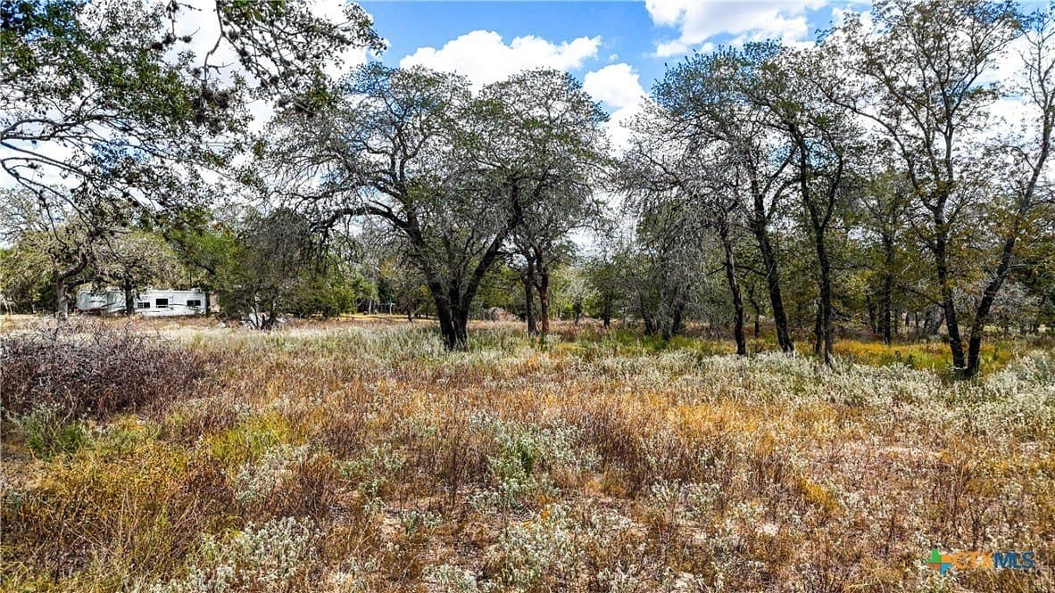 5.29 acres in Wilson County - photo 6