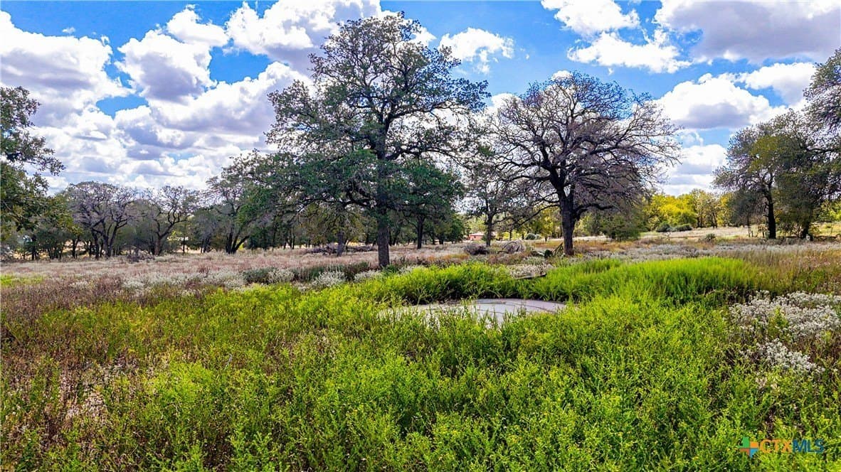 5.29 acres in Wilson County - photo 7