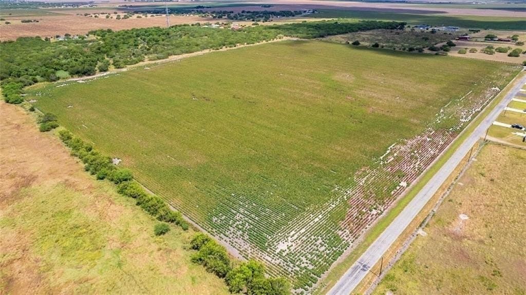39.91 acres in San Patricio County - photo 2