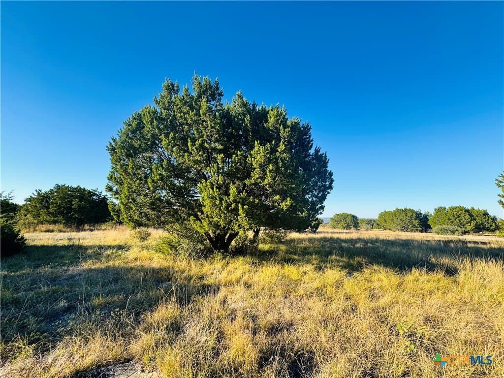 0.29 acres in Llano County - photo 2