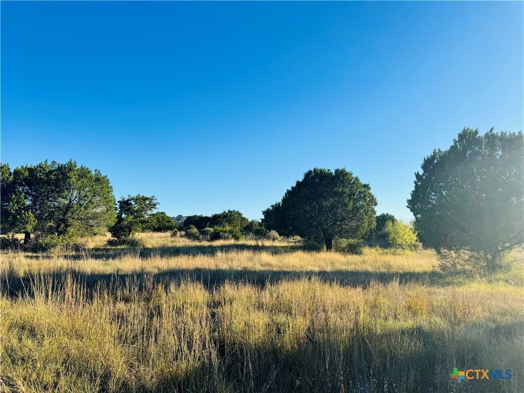 0.29 acres in Llano County - photo 10